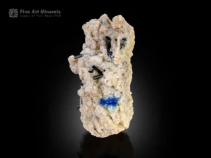 Black schorl crystals with vivid blue lazurite on white albite matrix from Afghanistan