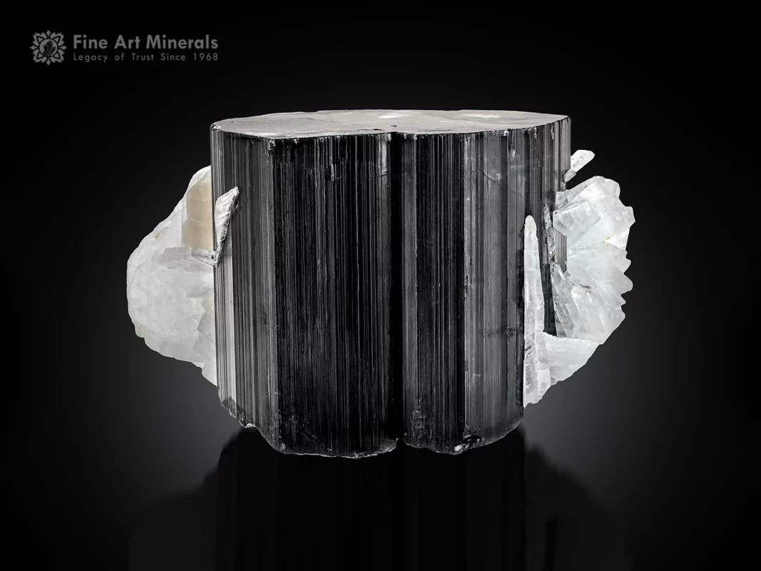 Black schorl tourmaline crystal with cleavelandite matrix from Pakistan.