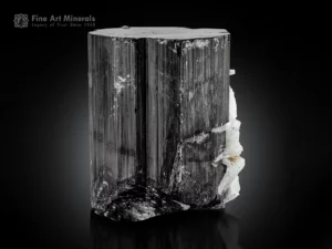 Black schorl tourmaline crystal with white cleavelandite from Afghanistan.
