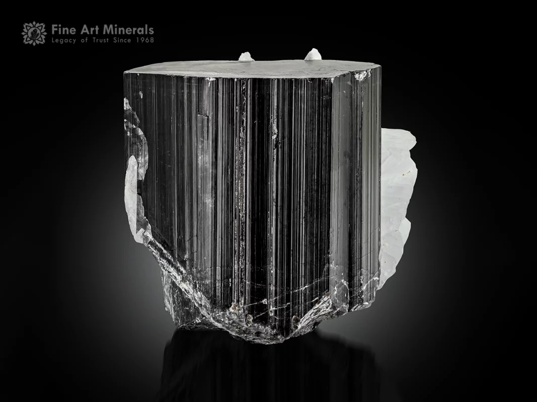 Black schorl tourmaline crystal with cleavelandite from Pakistan.
