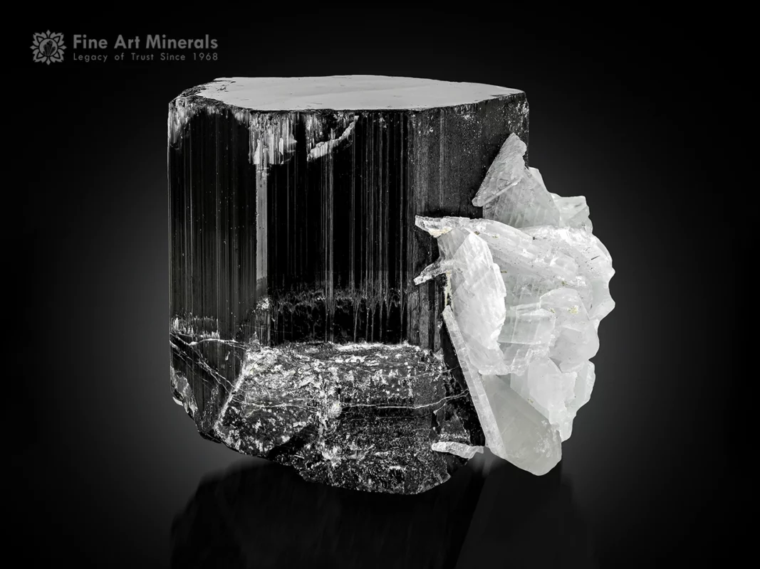 Black schorl tourmaline crystal with white cleavelandite association.
