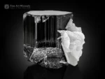 Black schorl tourmaline crystal with white cleavelandite association.