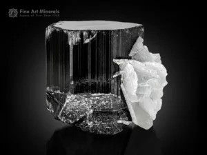 Black schorl tourmaline crystal with white cleavelandite association.