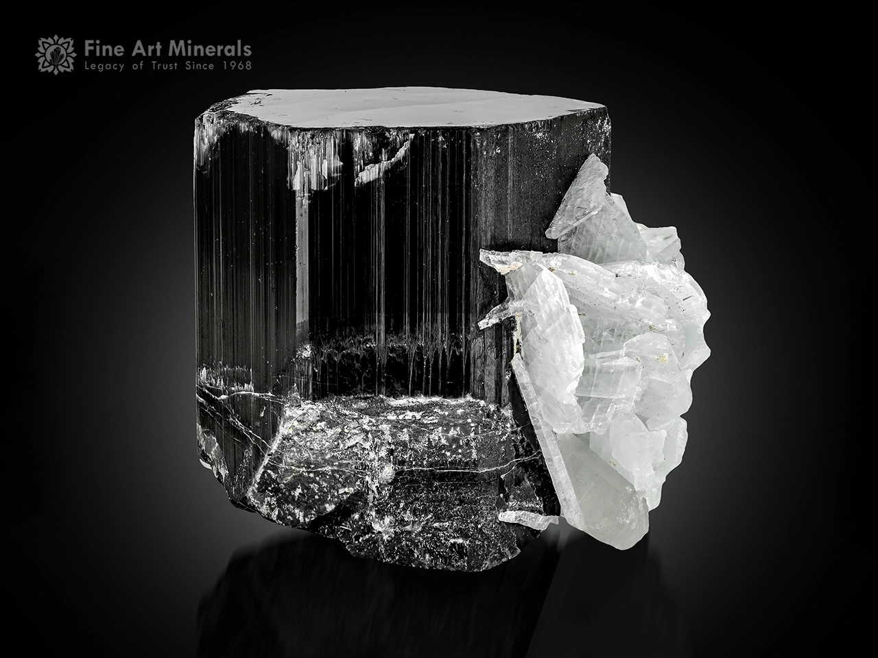 Schorl Tourmaline Cleavelandite (2) Black schorl tourmaline crystal with white cleavelandite association.