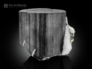 Black schorl tourmaline crystal with white cleavelandite association.