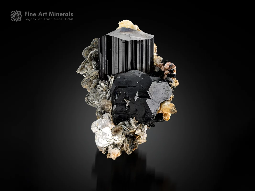 Black schorl tourmaline crystals with muscovite and albite on matrix.