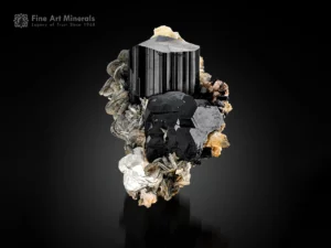Black schorl tourmaline crystals with muscovite and albite on matrix.