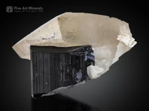 Black schorl tourmaline crystal with quartz and cleavelandite association.