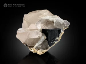 Black schorl tourmaline crystal with quartz cluster and cleavelandite matrix displaying excellent contrast.