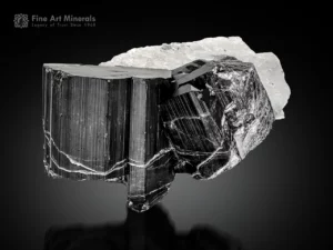 Black schorl tourmaline crystal with quartz and cleavelandite association.
