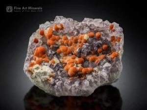 Rare orange scolecite balls perched on purple amethyst matrix from Rio Grande do Sul, Brazil.