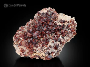 Dense cluster of reddish-orange spessartine garnet crystals on muscovite matrix.
