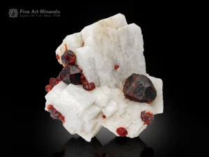 Deep red Spessartine Garnet crystals on contrasting white Feldspar matrix.