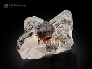 Spessartine garnet crystal nestled on butterfly-shaped muscovite with associated quartz.