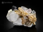 Lustrous Tantalite-(Mn) crystal associated with Quartz, Topaz, Albite, and Muscovite.