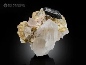 Lustrous Tantalite-(Mn) crystal associated with Quartz, Topaz, Albite, and Muscovite.