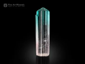 Gem-quality bi-color tourmaline crystal from Afghanistan featuring pale pink coloration and vivid lagoon-blue termination.