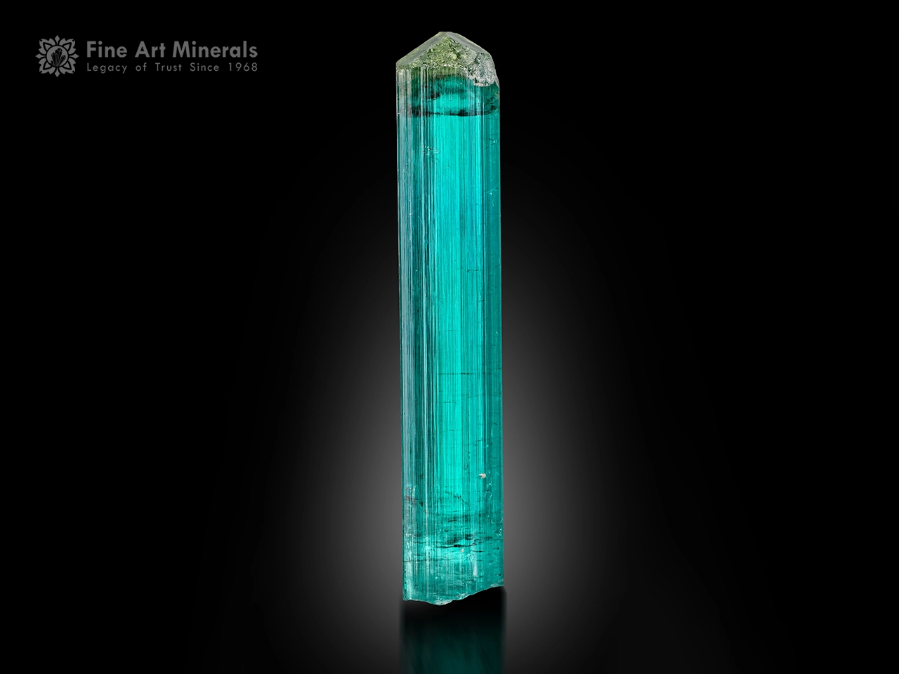 Lagoon-blue Tourmaline crystal with outstanding clarity, gem quality, and sharp natural termination from Afghanistan.